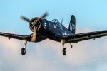 Dynam F4U Corsair V2 1270mm (50 ) Wingspan - RTF - (OPEN BOX) Sale