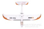 FMS Easy Trainer 800mm (31.5 ) Wingspan - RTF Cheap