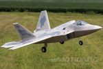 Freewing F-22 Raptor High Performance 4S 64mm EDF Jet - PNP For Sale